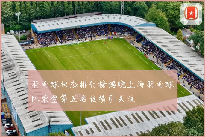 羽毛球状态排行榜揭晓上海羽毛球队荣登第五名佳绩引关注