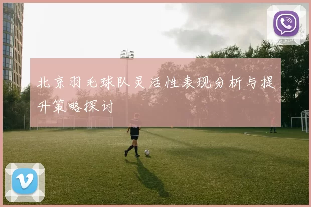 北京羽毛球队灵活性表现分析与提升策略探讨