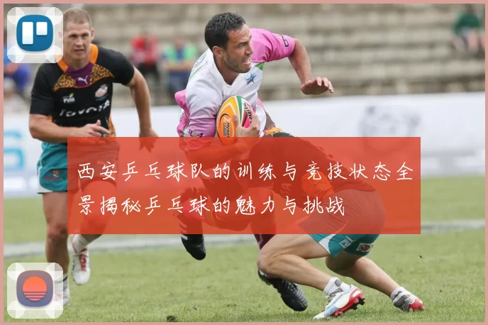 西安乒乓球队的训练与竞技状态全景揭秘乒乓球的魅力与挑战
