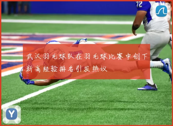 武汉羽毛球队在羽毛球比赛中创下新高经验排名引发热议