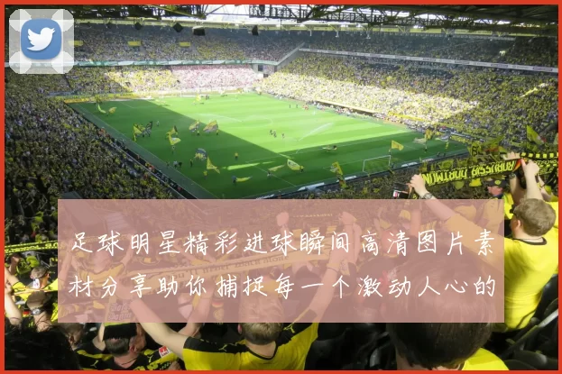 足球明星精彩进球瞬间高清图片素材分享助你捕捉每一个激动人心的时刻