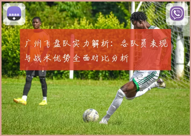 广州飞盘队实力解析：各队员表现与战术优势全面对比分析