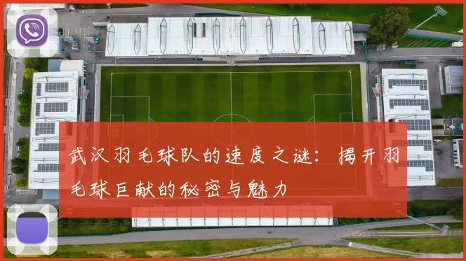 武汉羽毛球队的速度之谜：揭开羽毛球巨献的秘密与魅力