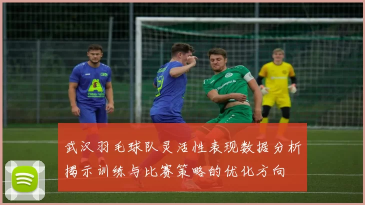 武汉羽毛球队灵活性表现数据分析揭示训练与比赛策略的优化方向