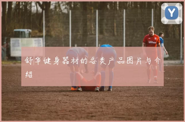 舒华健身器材的各类产品图片与介绍
