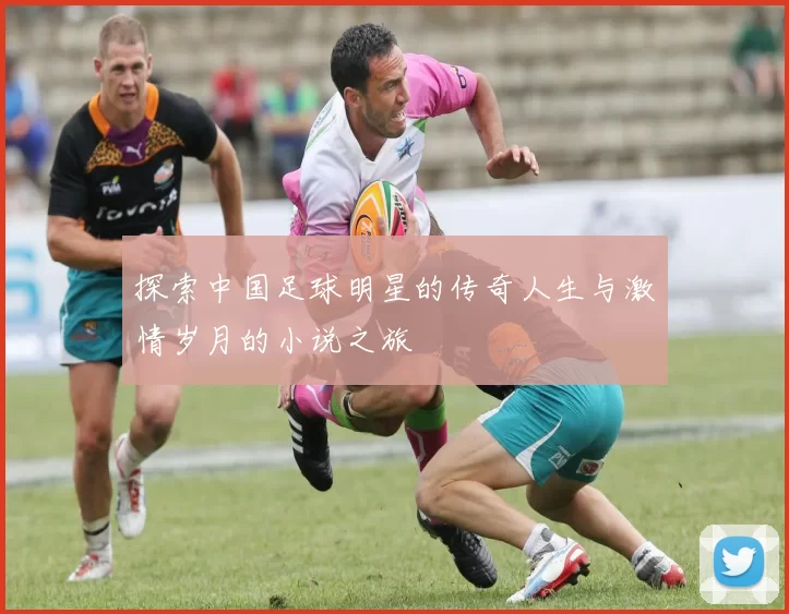 探索中国足球明星的传奇人生与激情岁月的小说之旅