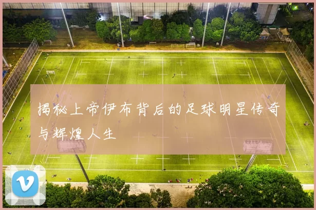 揭秘上帝伊布背后的足球明星传奇与辉煌人生
